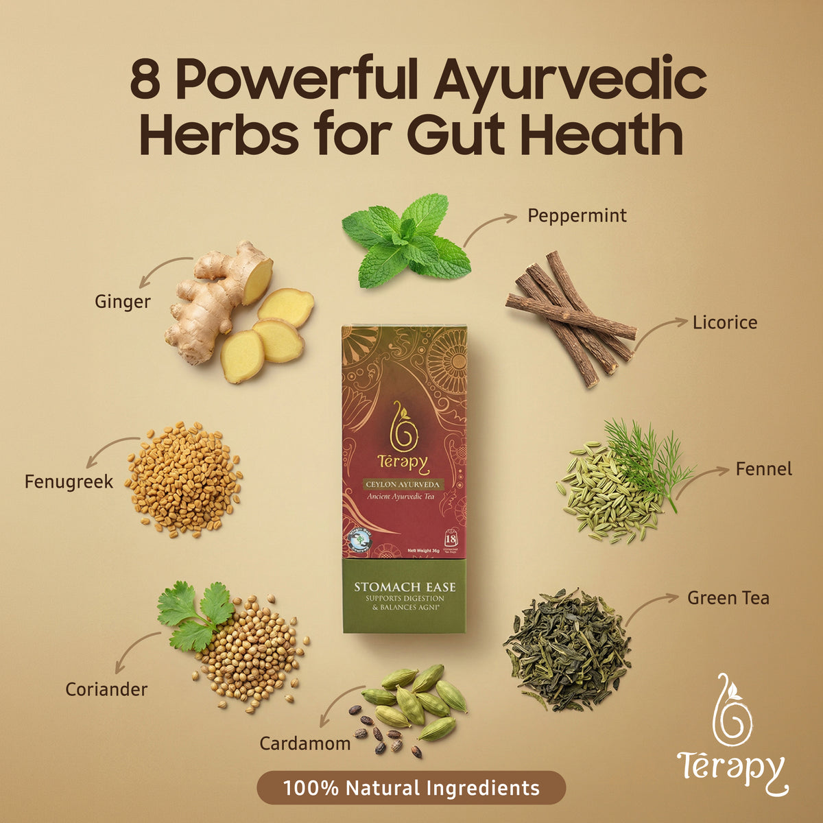 Stomach Ease Tea | Ayurvedic Tea for Bloating, Acid Reflux & Gut Health